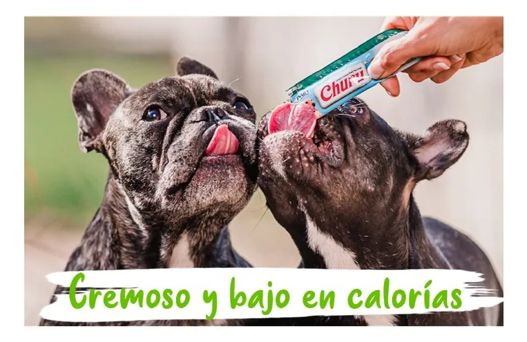 Inaba Ciao Churu Snack Premio Perro 4 Tubos Sabor Atún 4