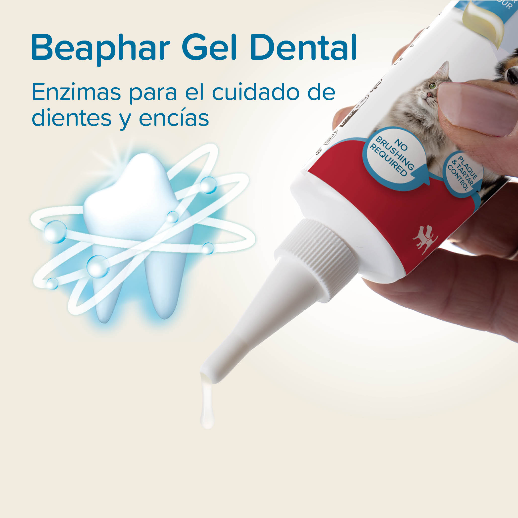 Gel Dental para Perros y Gatos Sabor a Higado 100ml Beaphar 7
