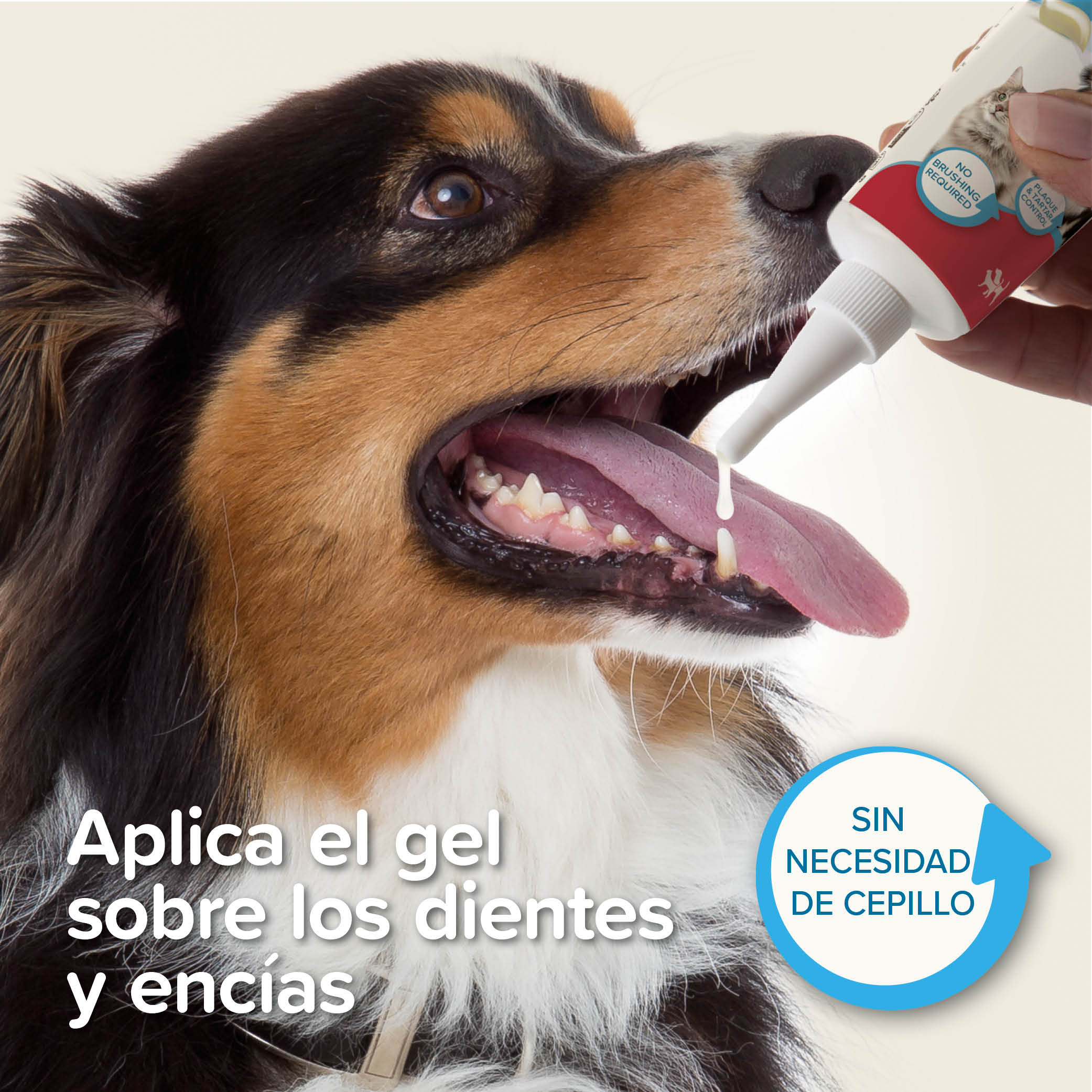Gel Dental para Perros y Gatos Sabor a Higado 100ml Beaphar 4