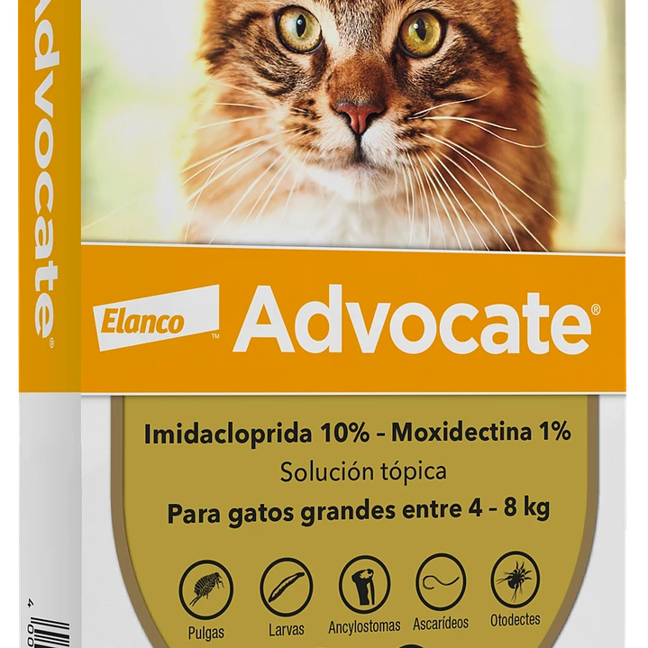 Advocate Antiparasitario Para Gatos de 4 a 8kg Elanco 1