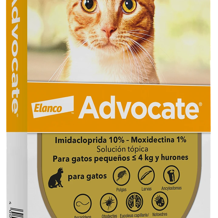 Advocate Antiparasitario Para Gatos 0 a 4kg Elanco 1