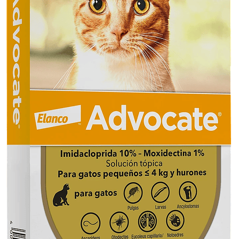 Advocate Antiparasitario Para Gatos 0 a 4kg Elanco