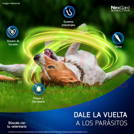 Spectra Antipulgas perros 15.1 a 30kg Sabor Carne 3uni NexGard 3