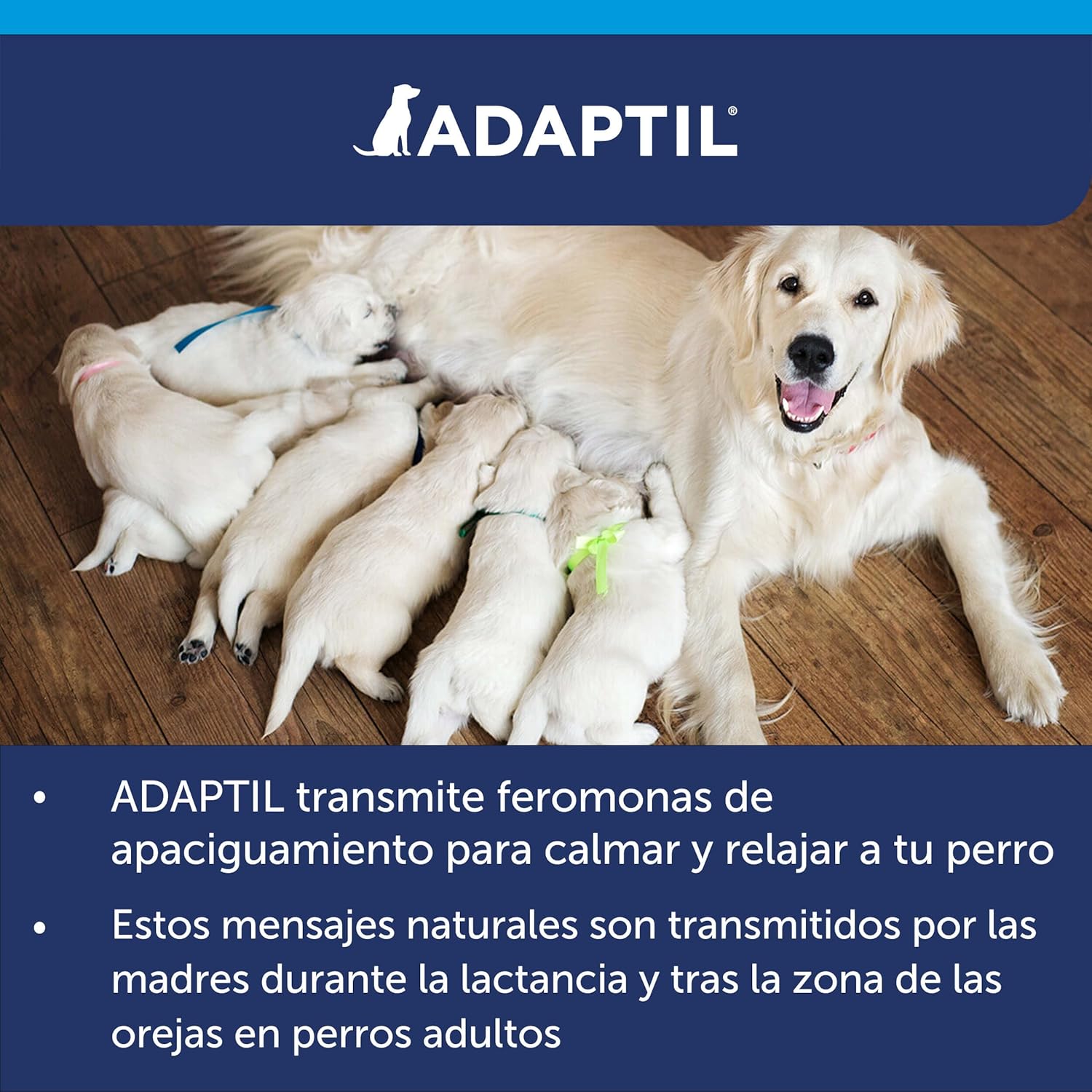 Adaptil Calm Antiestres para Perros Difusor + Repuesto 48ml 8