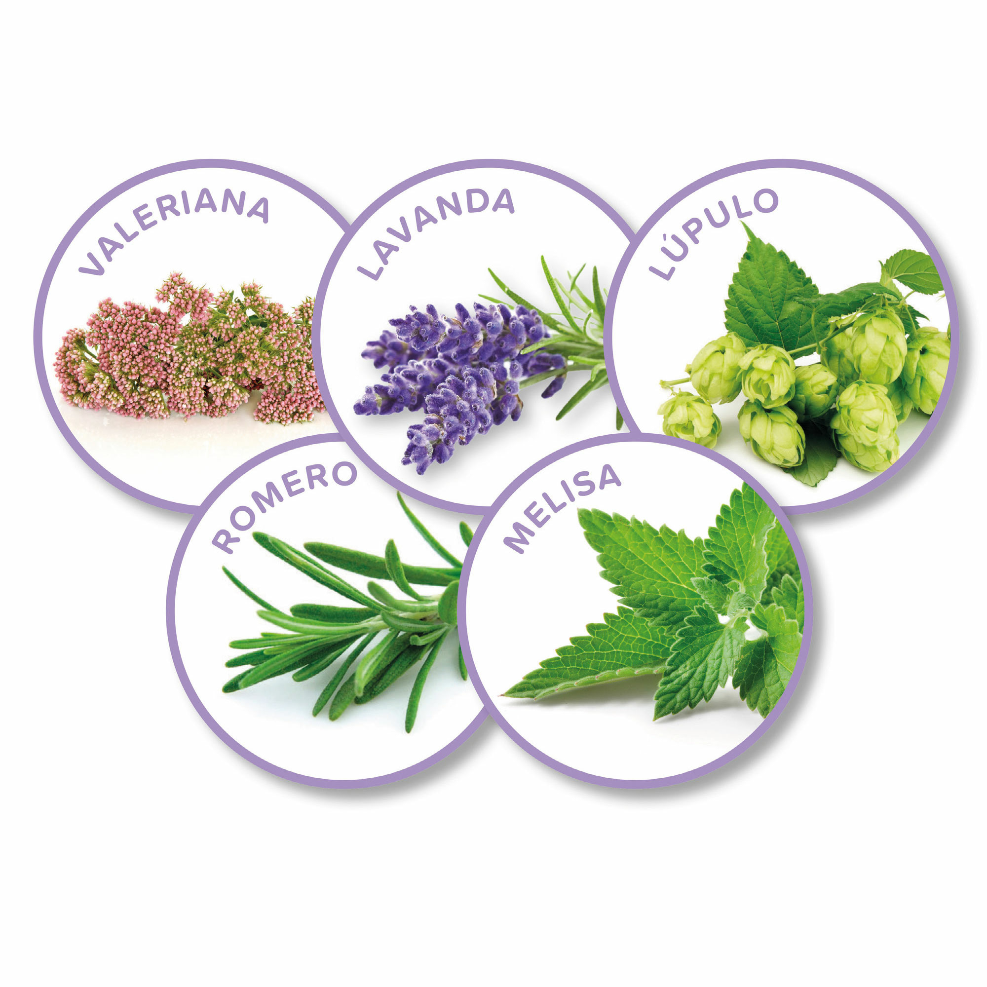 Calming Home Spray Calmante Perros y Gatos 125ml Beaphar 4