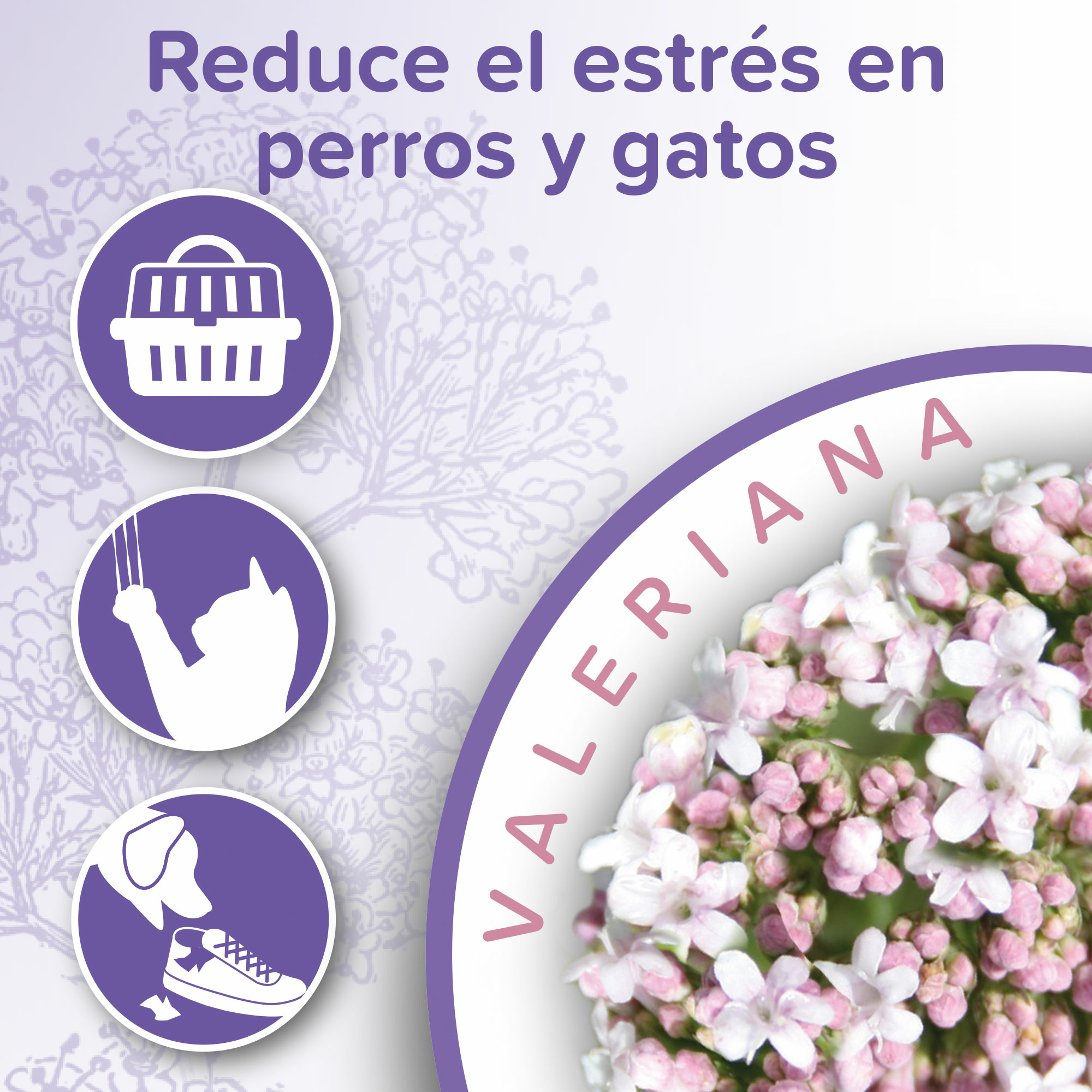 Calming Home Spray Calmante Perros y Gatos 125ml Beaphar 3