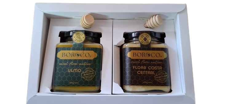 Set de Regalo Miel Boroco Miel Ulmo y Miel Flora Costa Central  1