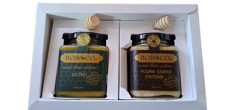 Set de Regalo Miel Boroco Miel Ulmo y Miel Flora Costa Central 
