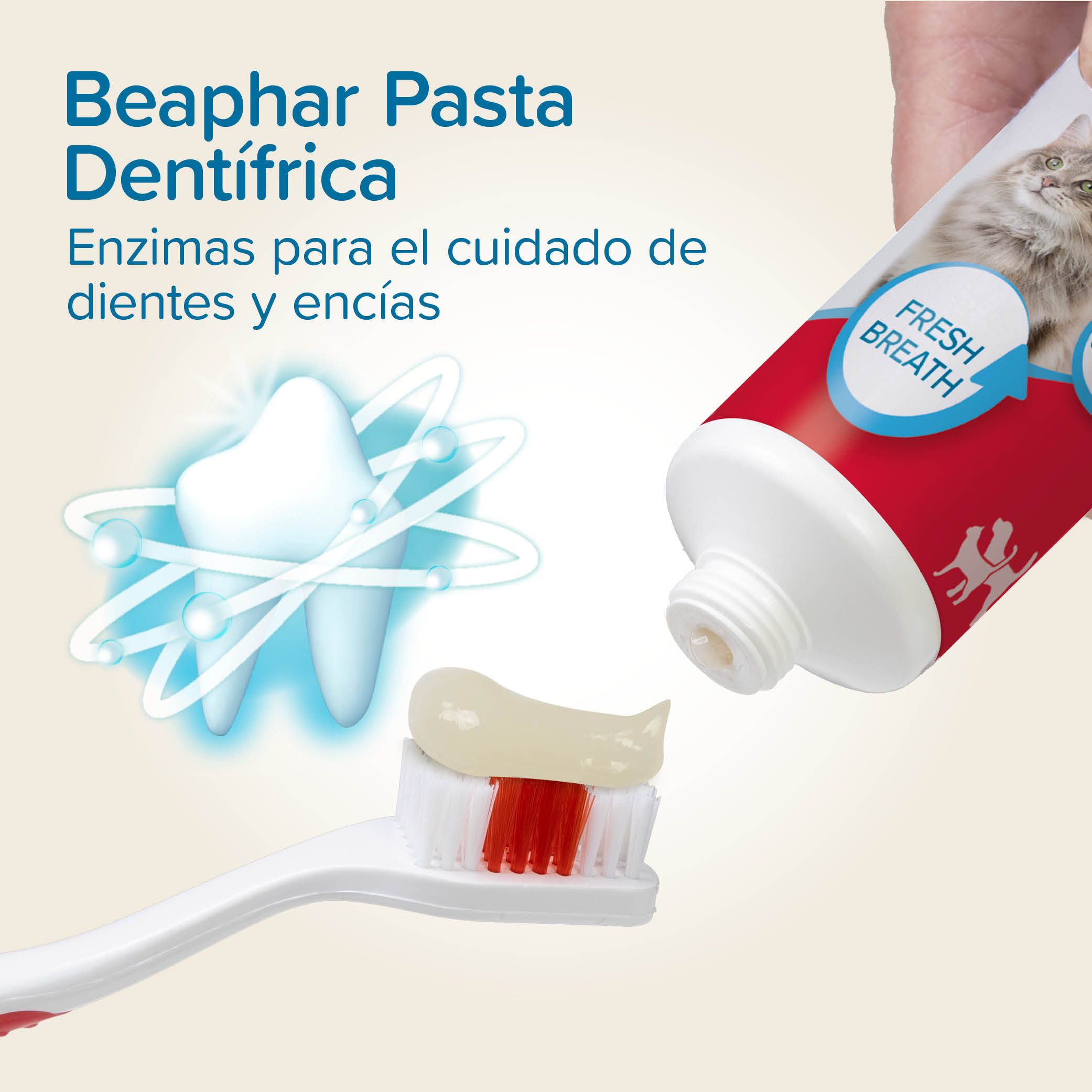 Pack Pasta Dental 100gr + Cepillo Dental Mascotas Beaphar  7