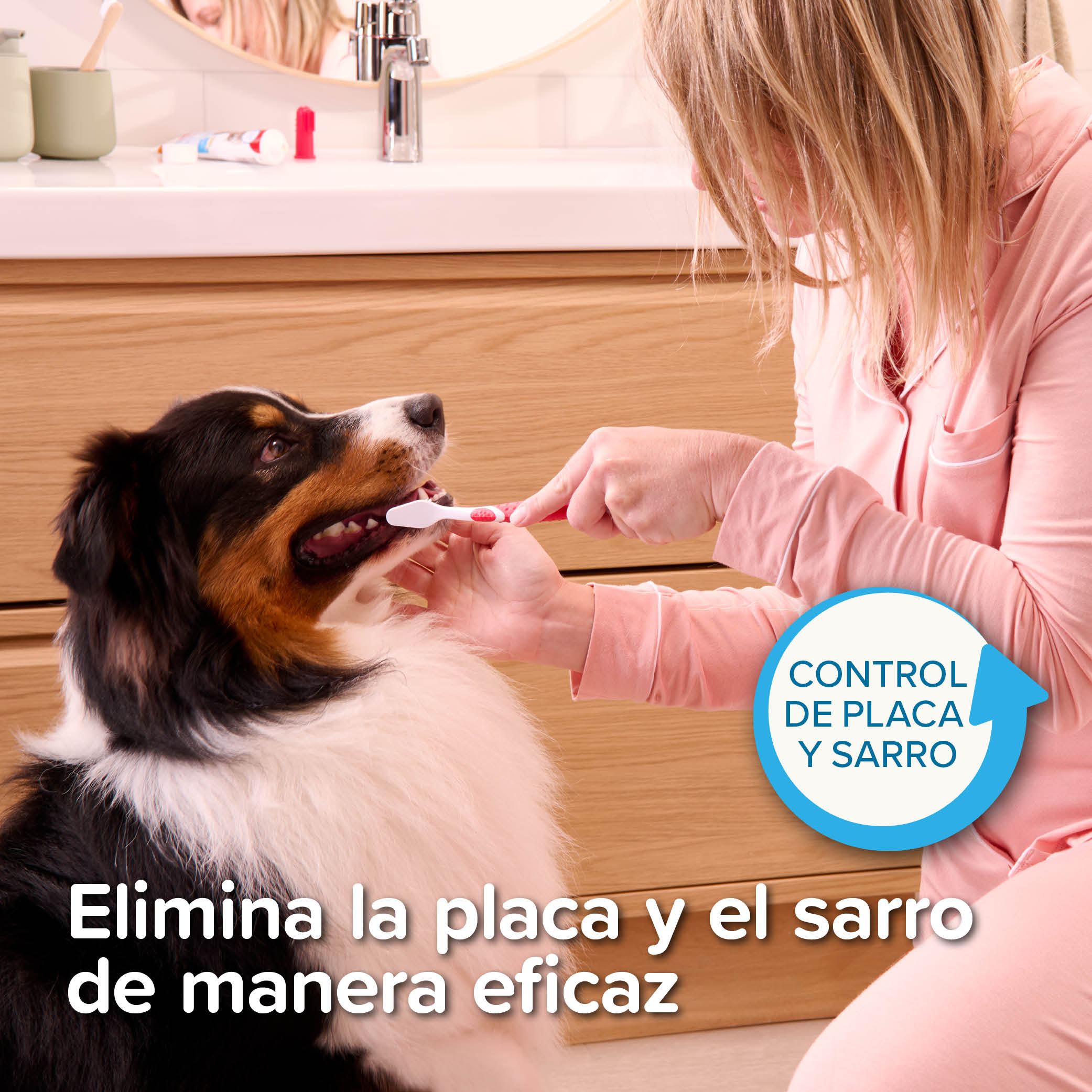 Pack Pasta Dental 100gr + Cepillo Dental Mascotas Beaphar  8