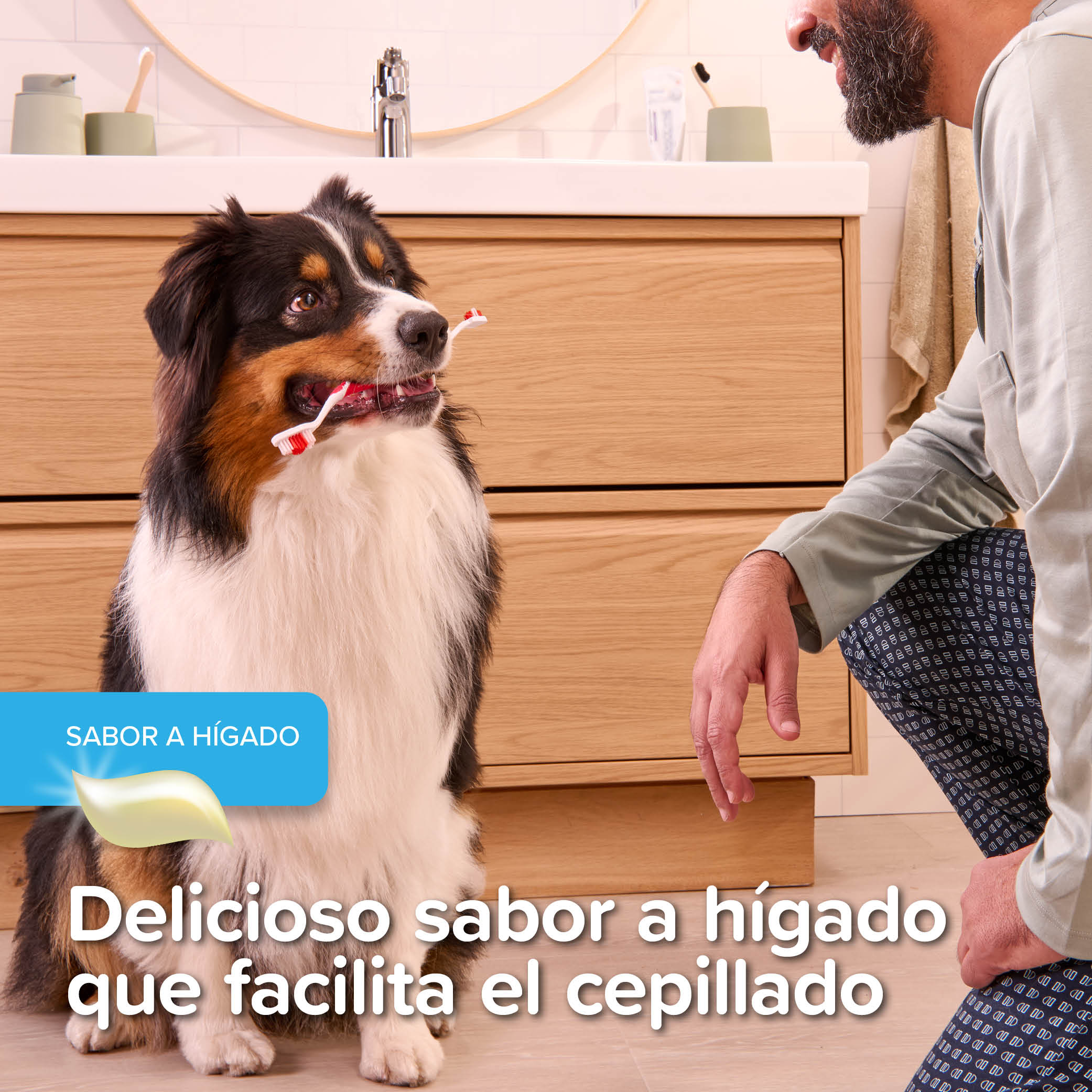 Pack Pasta Dental 100gr + Cepillo Dental Mascotas Beaphar  10