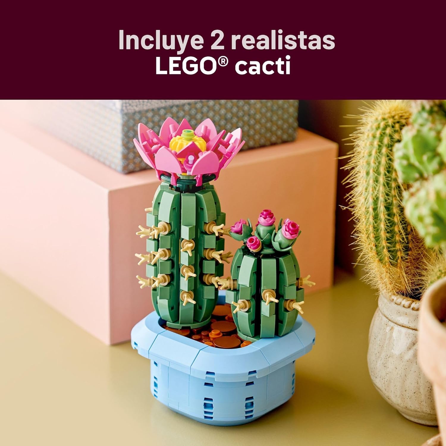 Lego Botanicals Cactus en Flor 11509 Flores 482 Piezas 3