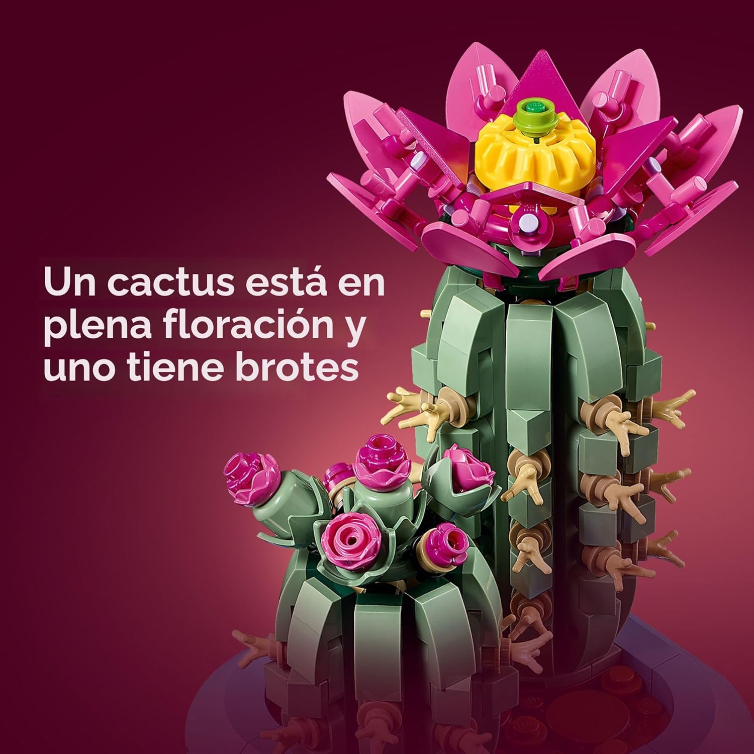 Lego Botanicals Cactus en Flor 11509 Flores 482 Piezas 4