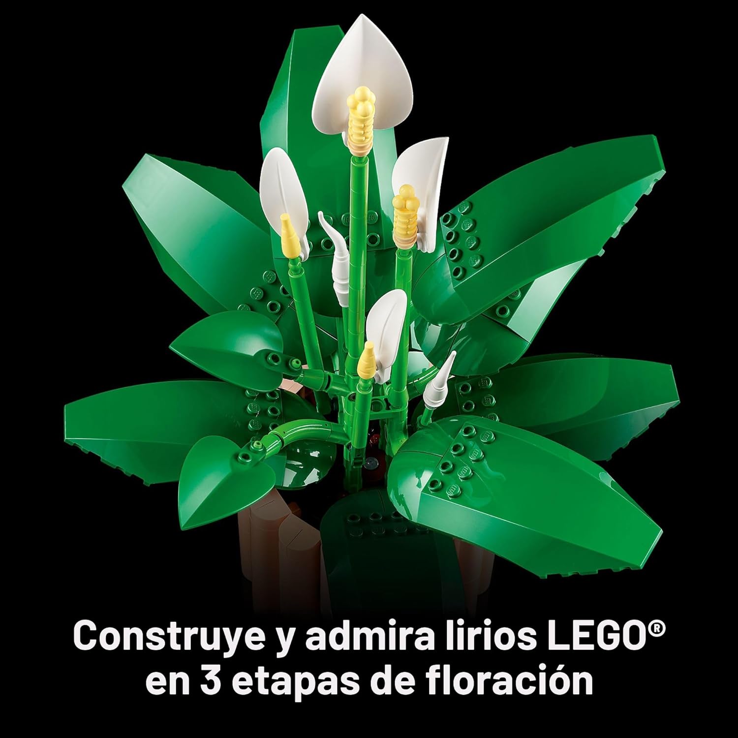 Botanicals Peace Lily Flowers 11504 Lego 4