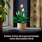 Botanicals Peace Lily Flowers 11504 Lego - Miniatura 6