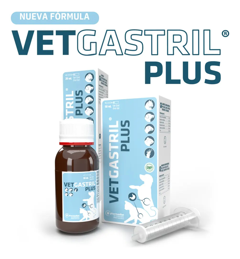 Vetgastril Protector Para Perros y Gatos 50ml  2