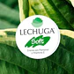 Crema Lechuga Soft con Pantenol y Vitamina E 55gr. - Miniatura 2