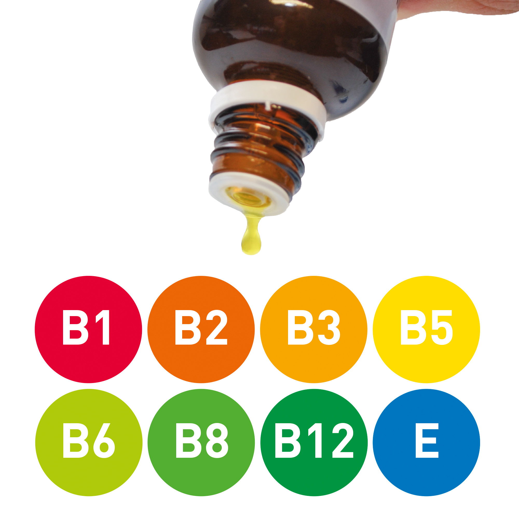Multivitaminas + Carnitina contra Perdida de Pelo Perros 50ml Beaphar 2