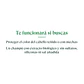 Shampoo No Sulfates Cabello Teñido Proteccion Color 300ml Natur Vital - Miniatura 2