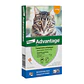 Advantage Para Gatos Hasta 4kg Elanco - Miniatura 1