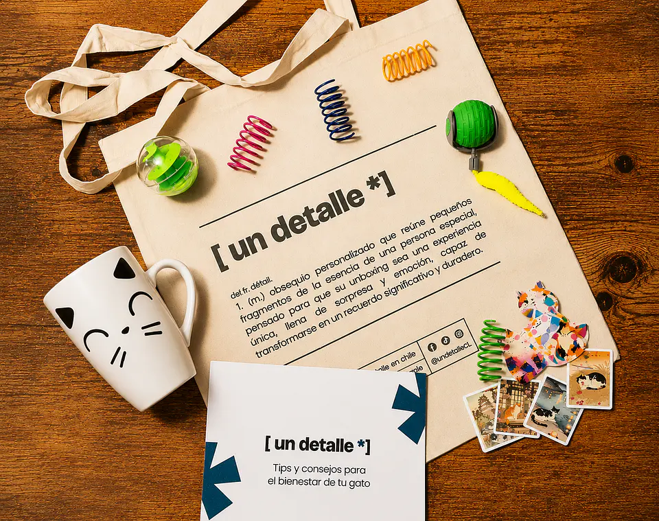 catbox– regalo para amante de los gatos 1