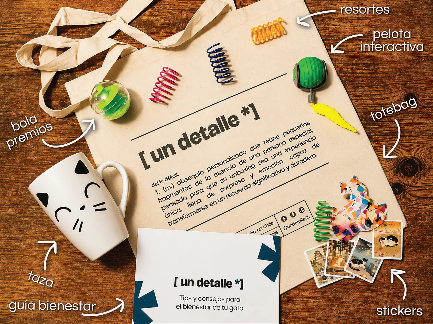 catbox– regalo para amante de los gatos 2
