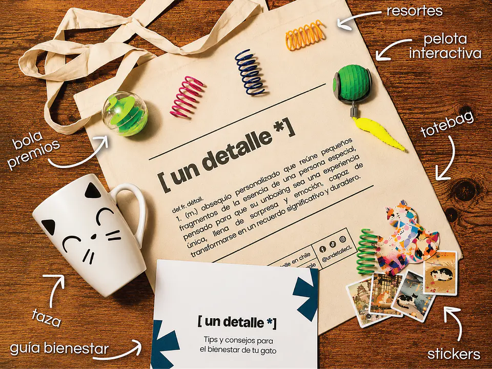 catbox– regalo para amante de los gatos 2