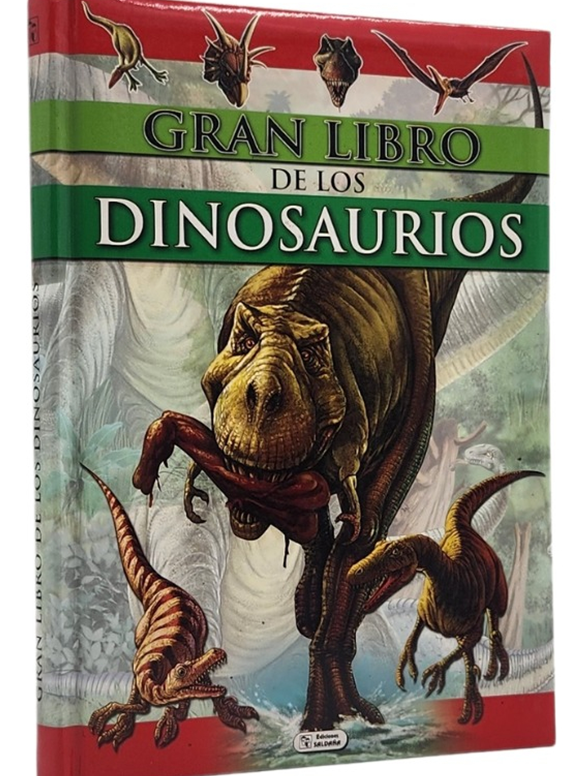 GRAN LIBRO DE LOS DINOSAURIOS 1