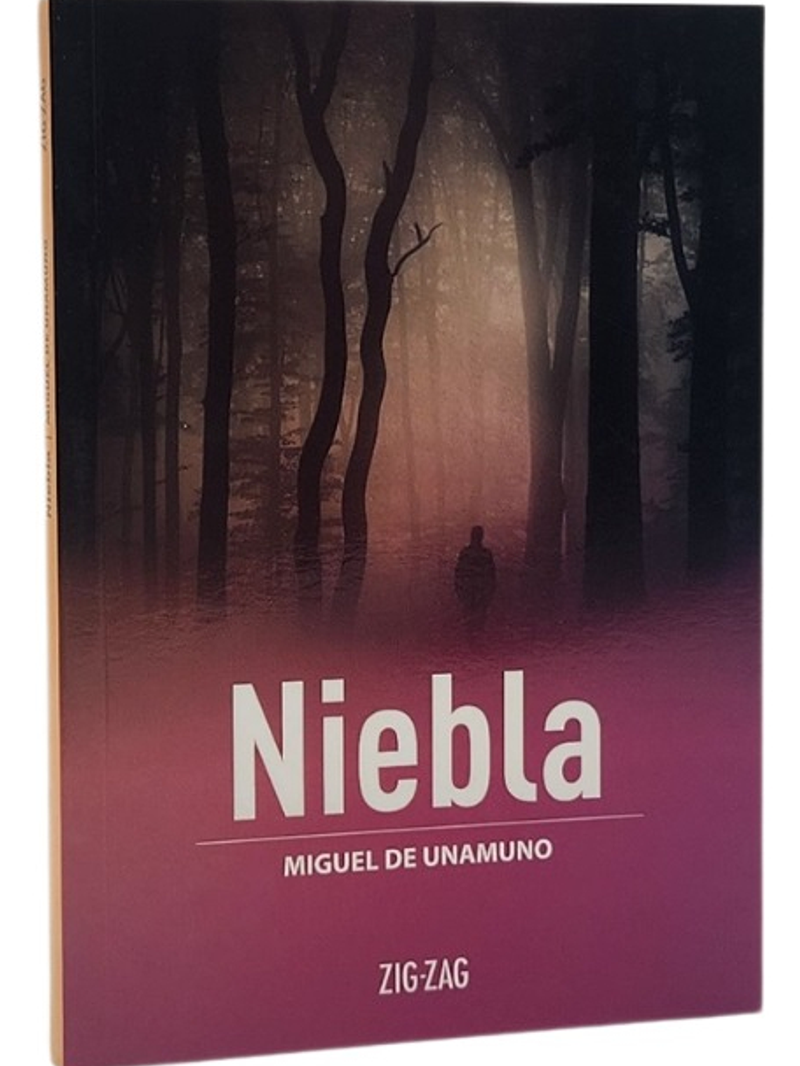NIEBLA - MIGUEL DE UNAMUNO 1