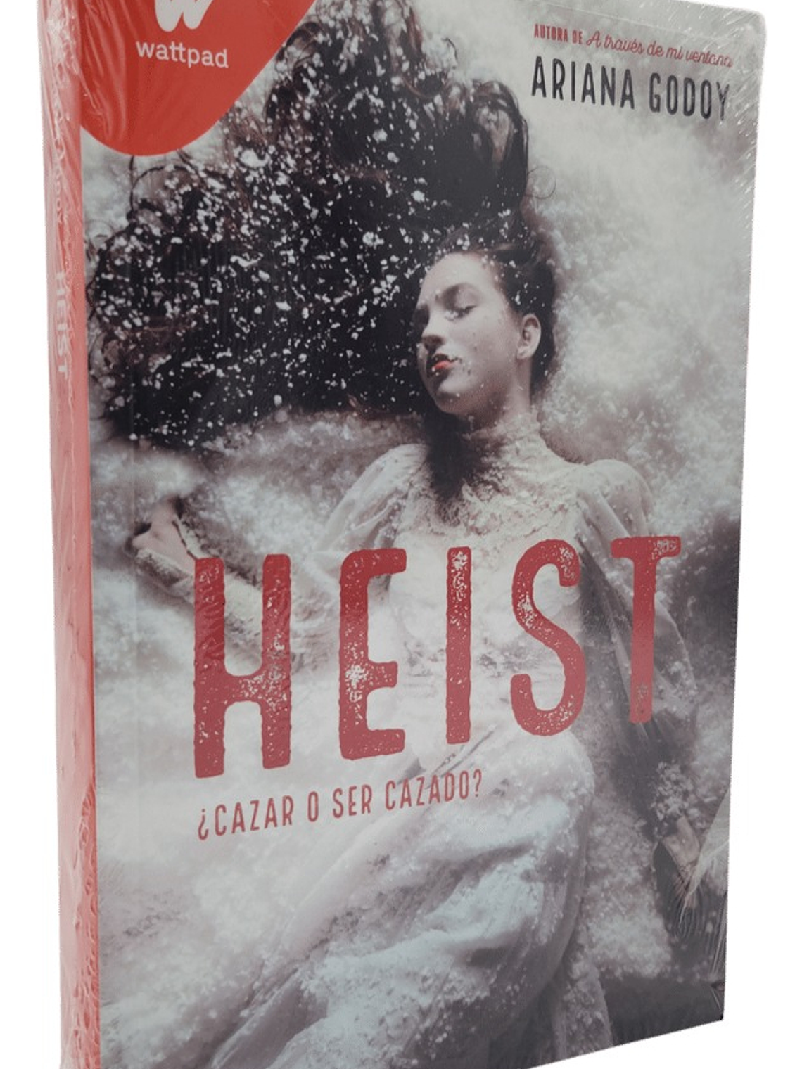 HEIST - ARIANA GODOY 1