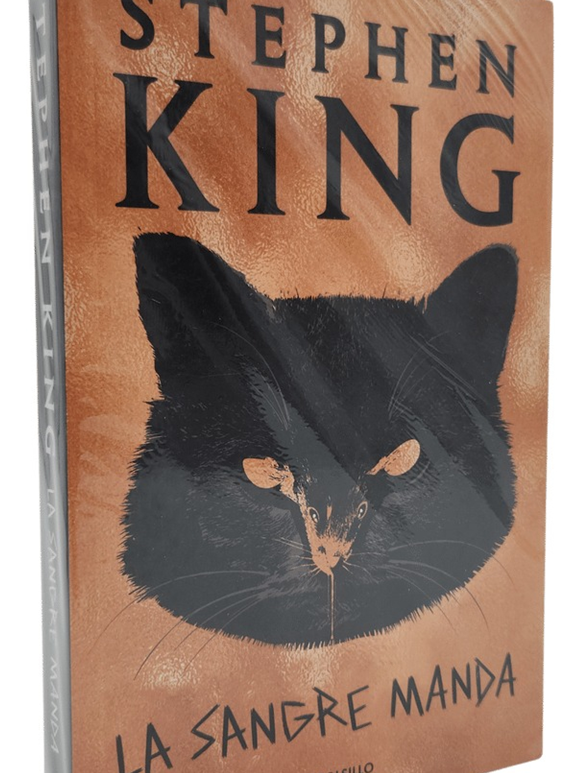 LA SANGRE MANDA - STEPHEN KING 1