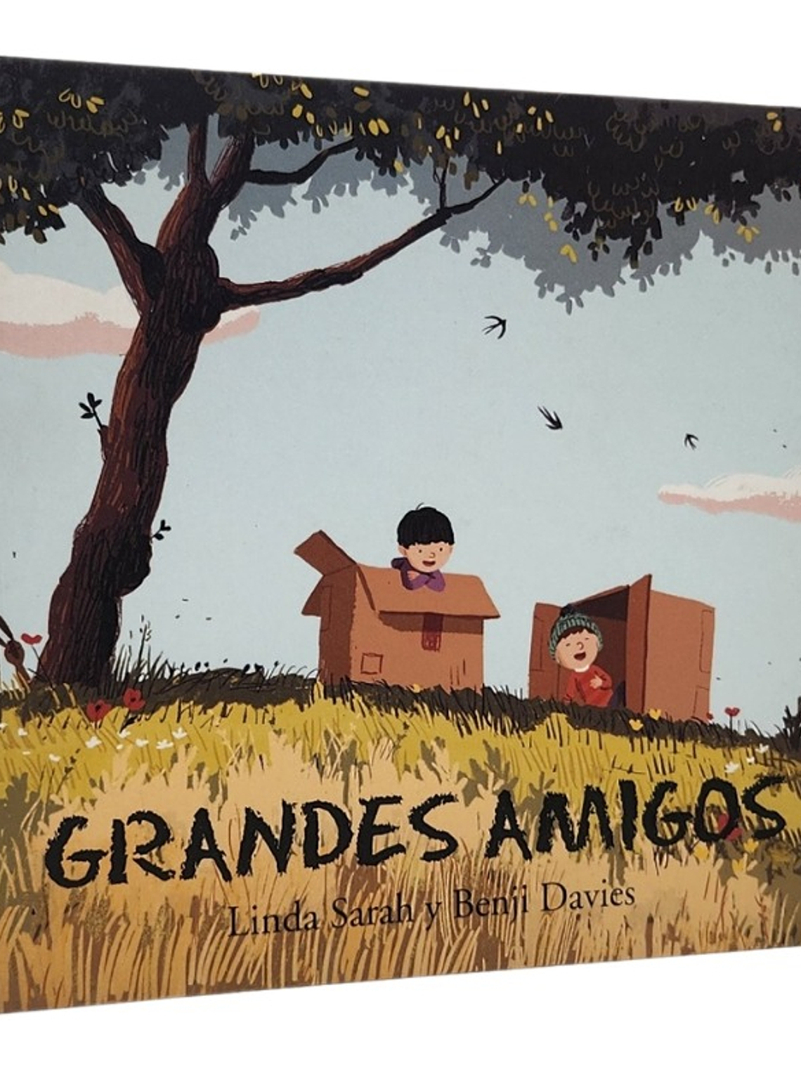 GRANDES AMIGOS - LINDA SARAH Y BENJI DAVIES 1
