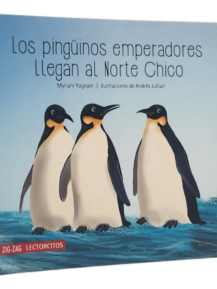 LOS PINGÜINOS EMPERADORES LLEGAN AL NORTE CHICO 1