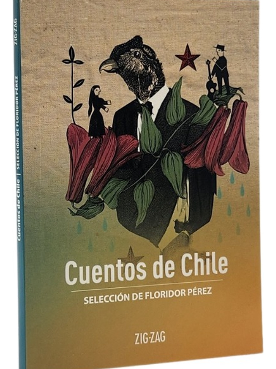 CUENTOS DE CHILE - SELECCIÓN DE FLORIDOR PÉREZ 1