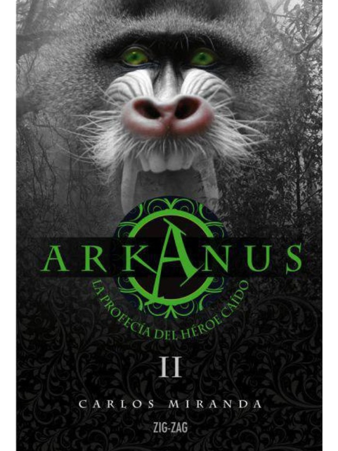 ARKANUS 2 - LA PROFECÍA DEL HÉROE CAÍDO 1