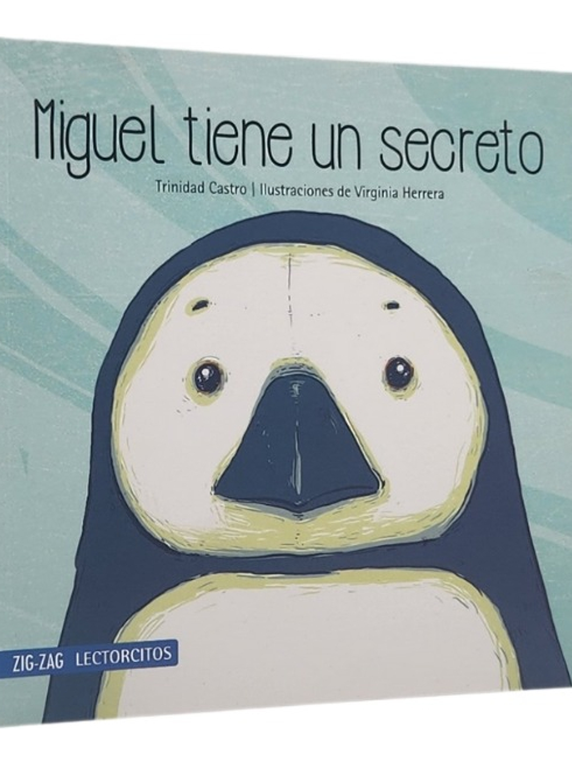 MIGUEL TIENE UN SECRETO - TRINIDAD CASTRO  1