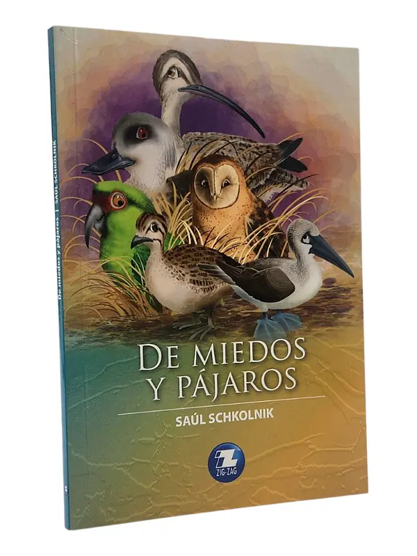 DE MIEDOS Y PÁJAROS - SAÚL SCHKOLNIK