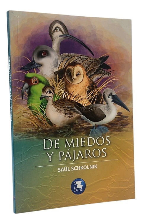 DE MIEDOS Y PÁJAROS - SAÚL SCHKOLNIK