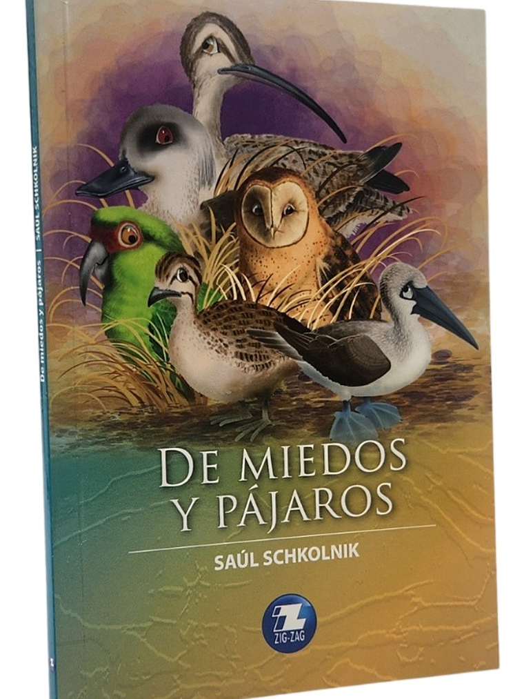 DE MIEDOS Y PÁJAROS - SAÚL SCHKOLNIK 1
