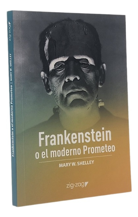 FRANKENSTEIN O EL MODERNO PROMETEO - MARY SHELLEY