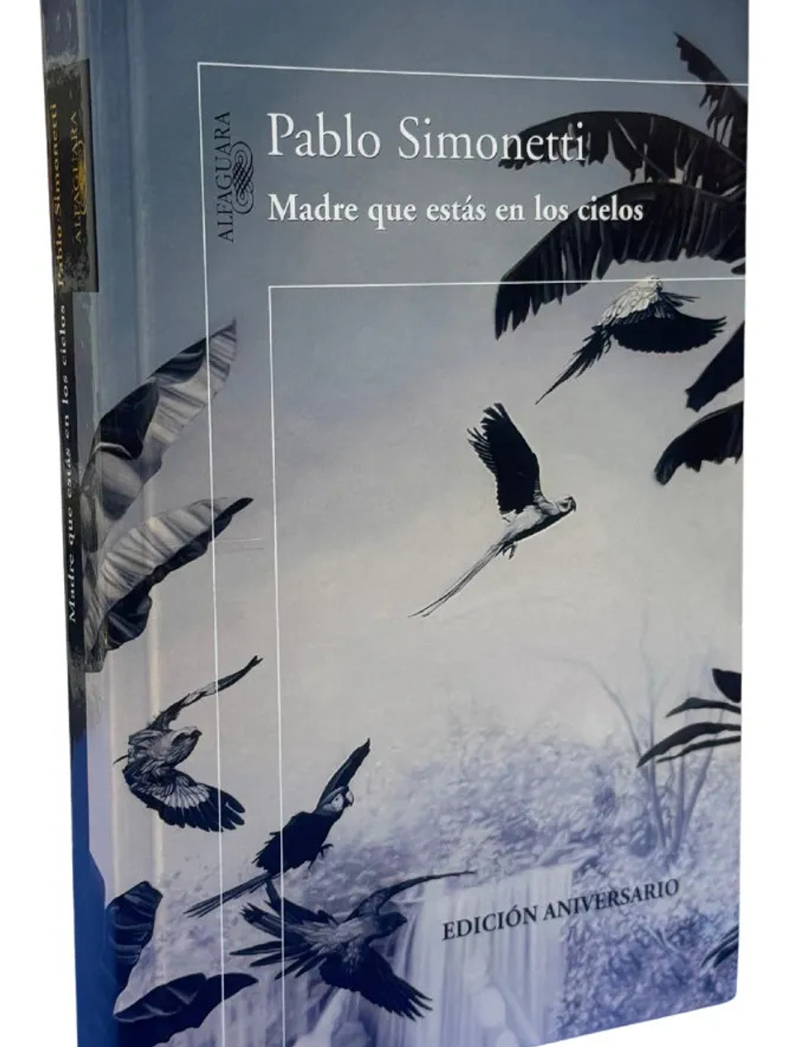 MADRE QUE ESTÁS EN LOS CIELOS - PABLO SIMONETTI 1