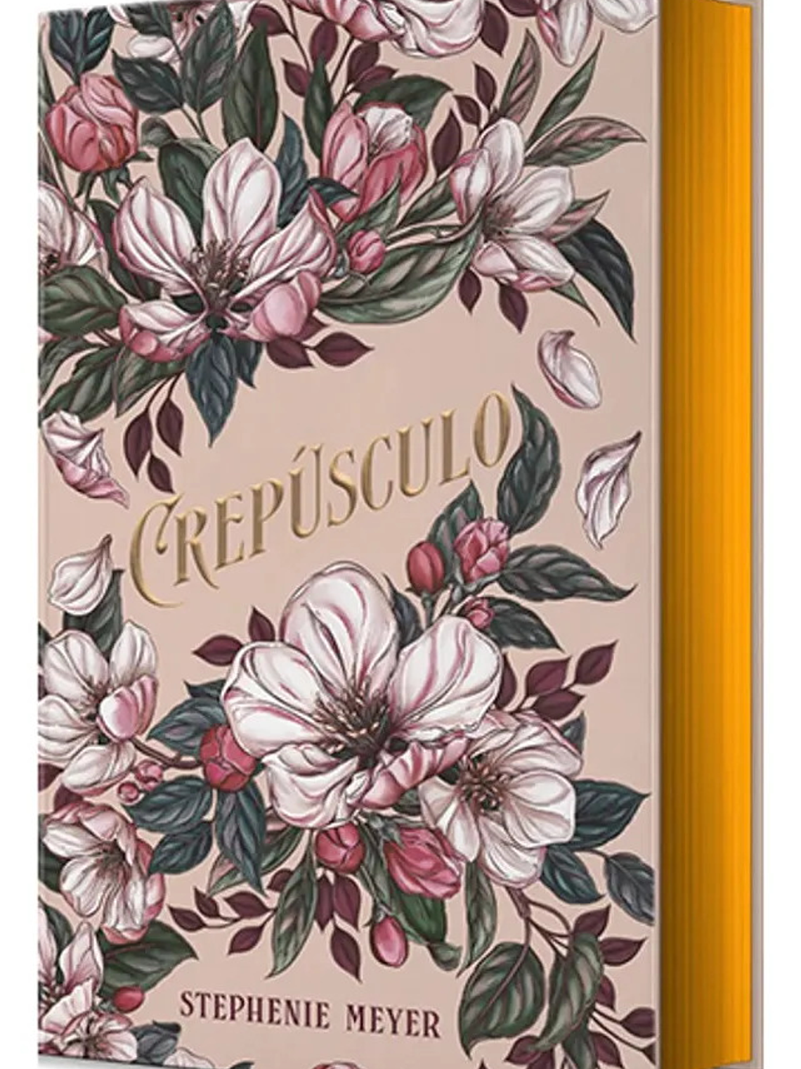 CREPÚSCULO - STEPHENIE MEYER ( EDICIÓN ESPECIAL LIMITADA ) 1