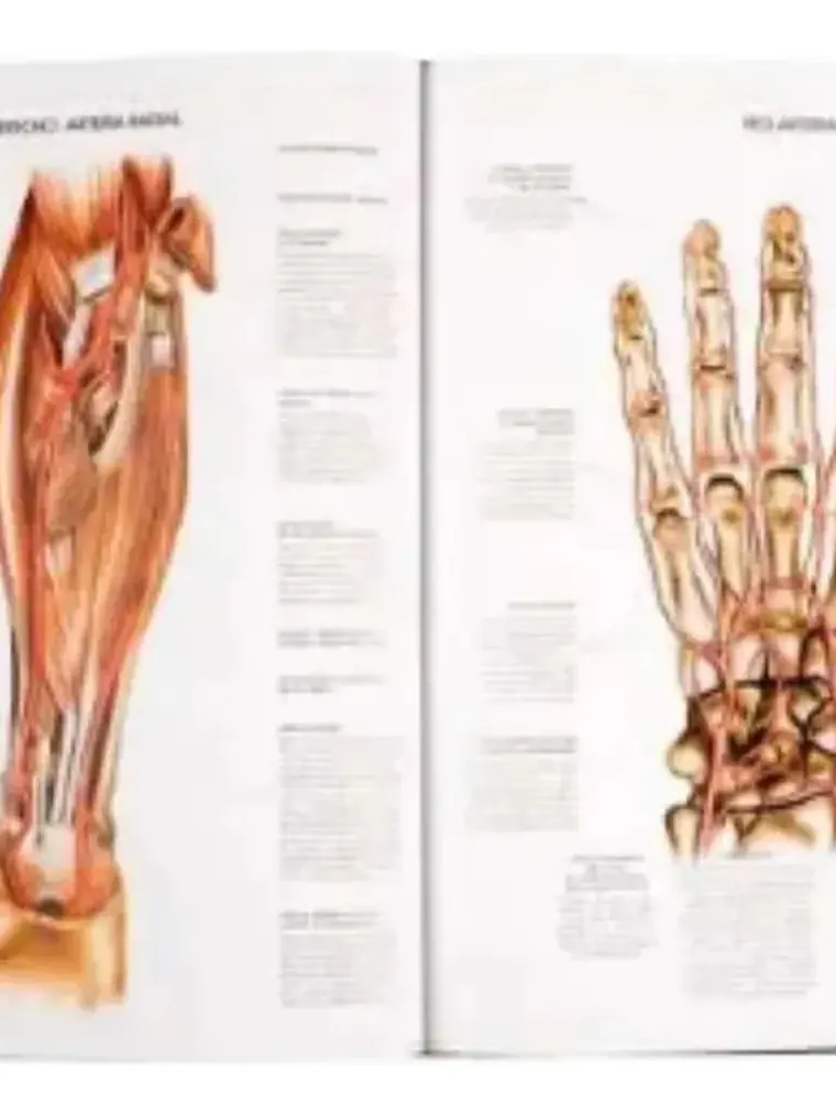 Atlas Anatomía Fisiología Patología Del Cuerpo Humano 2