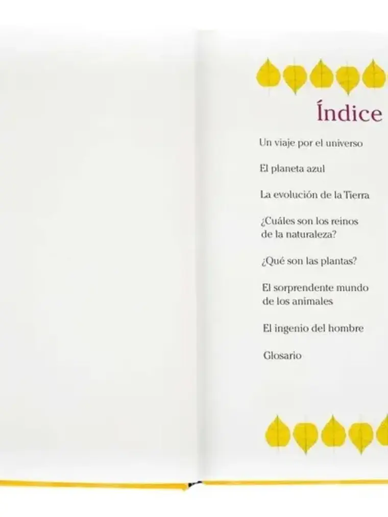 El Libro De Las Preguntas Y Respuestas - Lexus 4