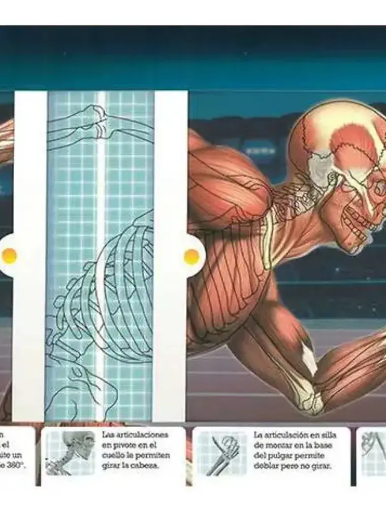 Scanorama Cuerpo Humano. Desliza - Escanea - Descubre 4