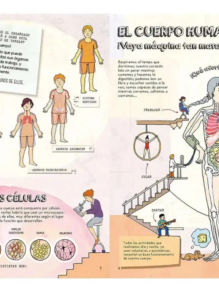 Descubre El Cuerpo Humano. Una Máquina Maravillosa - Lexus 2