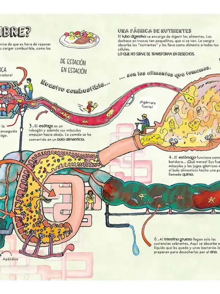 Descubre El Cuerpo Humano. Una Máquina Maravillosa - Lexus 3