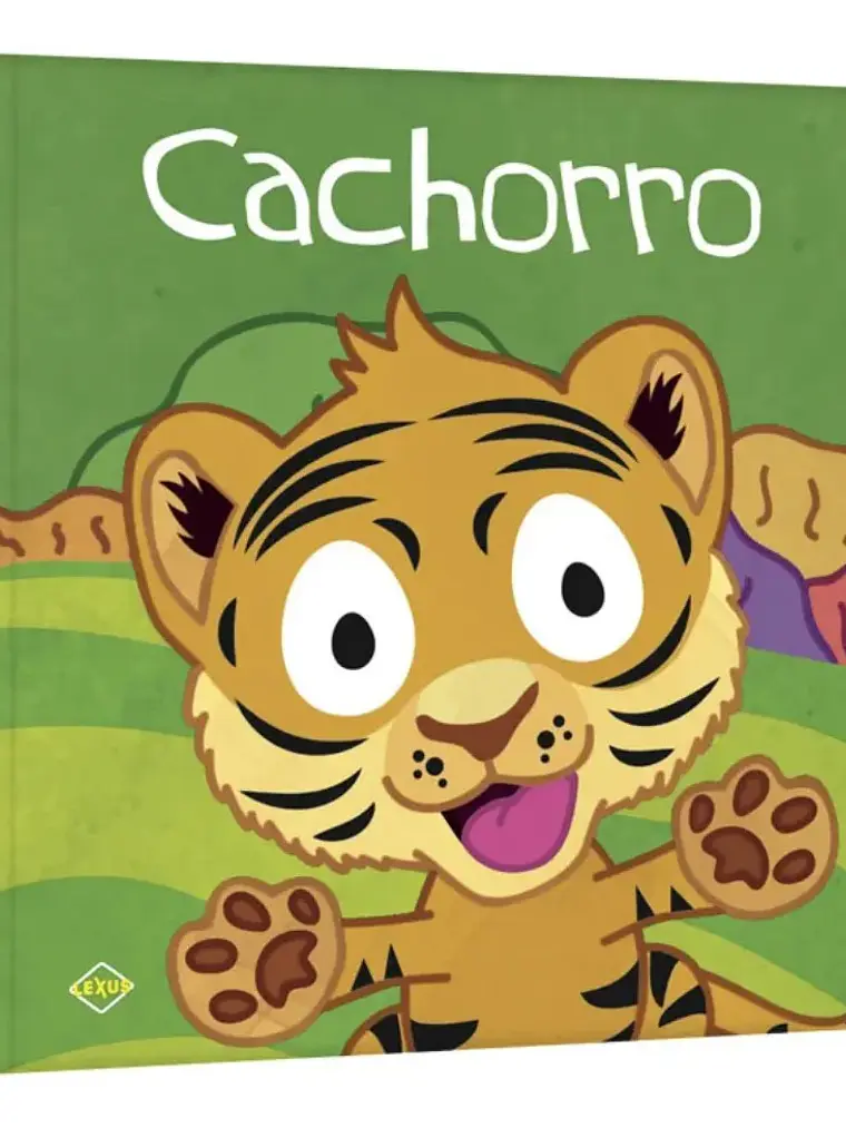 Animales Bebés De La Selva Mi Pequeña Biblioteca 8 Libros 4
