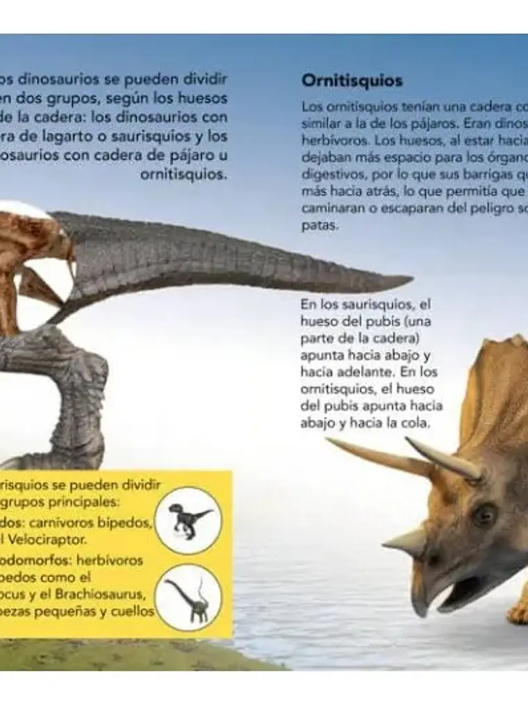 Enciclopedia Infantil De Los Dinosaurios Plutón Kids 3