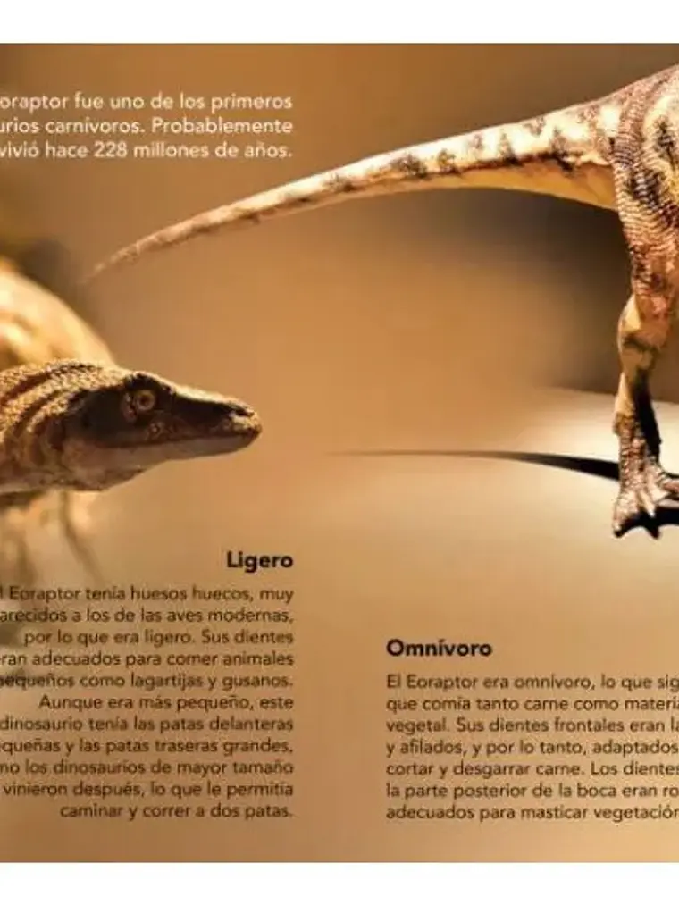 Enciclopedia Infantil De Los Dinosaurios Plutón Kids 4